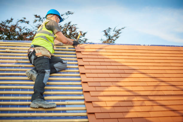 Best Roof Maintenance and Cleaning  in Harrisburg, PA
